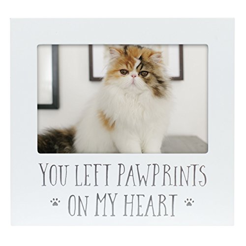 Pearhead You Left Pawprints on My Heart Pet Memorial Photo Frame, White | Picture Frame for Pet Owners, Ideal Memorial Gift for Loss of Dog and Pet Remembrance, Dog or Cat Sympathy Gift - color: Pawprint On My Heart Frame
