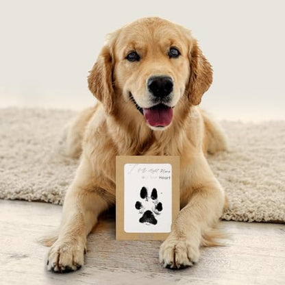 DeerZone Inkless Paw Print Kit,Dog Paw Print Kit,Dog Nose Print Kit - color: Black, size: Medium-Large 2 Pack