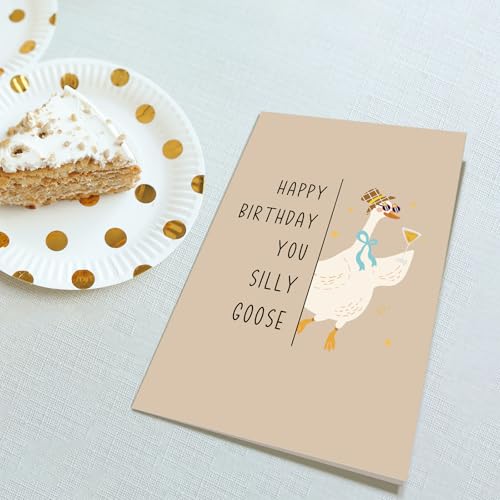 Obbyidk Funny Silly Goose Birthday Card for Him Her, Cute Goose Birthday Card for Son Daughter, Happy Bday Cards Gifts for Friend Family - color: Goose Birthday