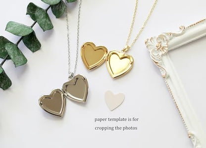Handmade Heart Shaped Dried Pressed Forget Me Not Flower Photo Locket Pendant Necklace - color: Silver, style: customized
