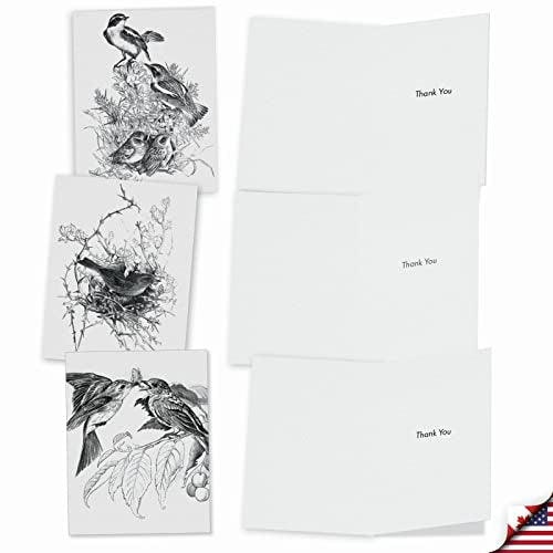 The Best Card Company - 10 Bird Note Cards Blank (4 x 5.12 Inch) - All Occasion Cards with Envelopes, Boxed Set - Wing Notes M6475OCB - style: Wing Notes