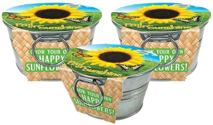 Grow Your Own Mini Sunflowers Plant Seeds 3-Pack, DIY Indoor Succulents and Live Plants for Home or Garden Planting, Pail of Sunshine - color: Pail of Sunshine 3-PK