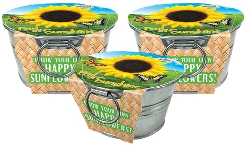 Grow Your Own Mini Sunflowers Plant Seeds 3-Pack, DIY Indoor Succulents and Live Plants for Home or Garden Planting, Pail of Sunshine - color: Pail of Sunshine 3-PK