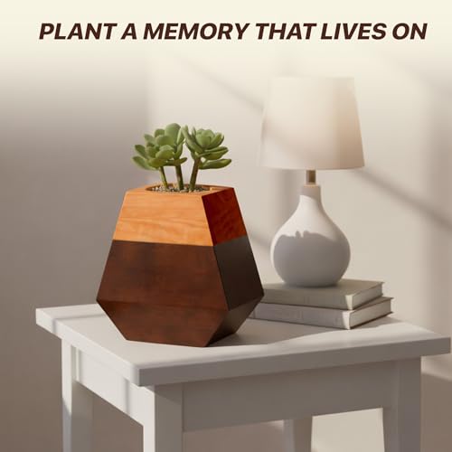 Americurn Plant Cremation Urns for Human Ashes Adult Male & Female Includes 1 Large Urn & 1 Silver & 1 Black Cross Necklace- Wooden Urns for Human Ashes - color: Single Large Urn