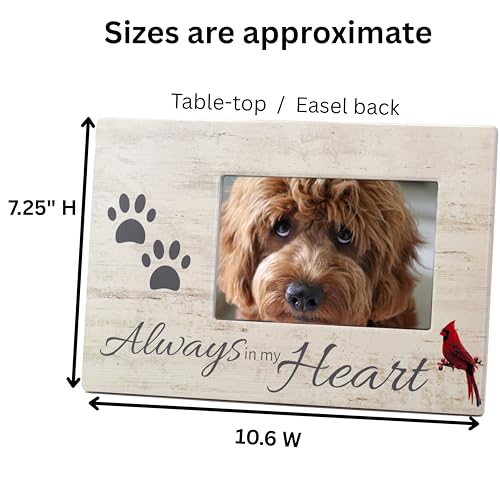 Dog Memorial Picture Frame, Always in My Heart Pet Loss Gift with Cardinal & Paw Print Design, Wood Look 4x6 Photo Frame for Dog or Cat Sympathy, Pet Remembrance Gift, Measures 10 x 7 Inches