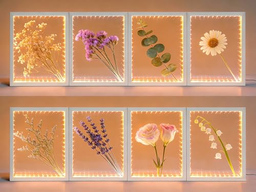 Shadow Box Frame with Lights 10'' ×8 '' Memory Boxes Keepsakes Display Case Dried Flower 3D Deep Picture Frame Memorial Gifts Memorabilia Medal Wedding Travel Baby Items (White) - color: White