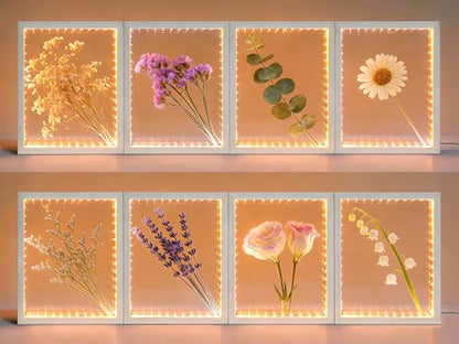 Shadow Box Frame with Lights 10'' ×8 '' Memory Boxes Keepsakes Display Case Dried Flower 3D Deep Picture Frame Memorial Gifts Memorabilia Medal Wedding Travel Baby Items (White) - color: White