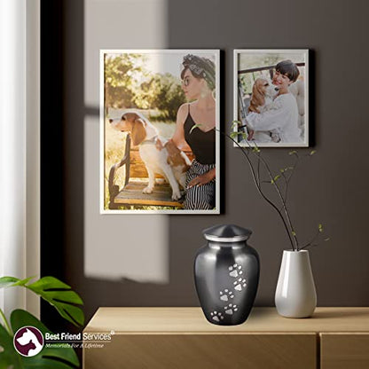 Ottillie Legacy Slate/Pewter/Vert Urn, up to 115lbs - color: Slate, Vertical Pewter Paws, size: Large