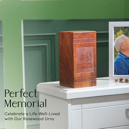 Tree Emerging from Book Wooden Cremains Ashes Box - Large Urn for Ashes Adult Male - Dad Urn for Ashes - Memorial - Respectful Tribute - Memorial Gifts - Funeral Urns - 14 Inches, Natural