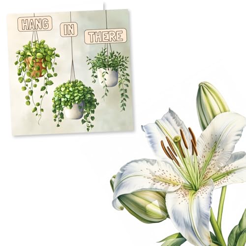 Support Card For A Loved One - Hang In There - Plant Pots - Lighthearted and Sincere - Plants, Recovery, Rest, Grief - For Friend, Relative, Colleague, Family