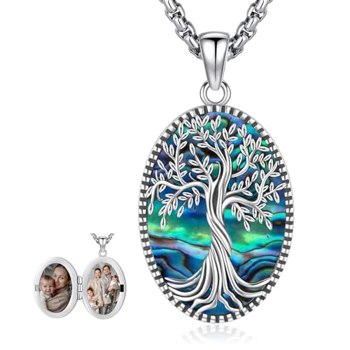 Picture Locket Necklace for Women Men Rose 14K Real Gold 925 Sterling Silver Jewelry Heart Locket Necklace that Holds Pictures Tree of Life Viking Wolf Celtic Knot St Christopher St Michael Pendant - color: I2-2-Locket-Abalone shells