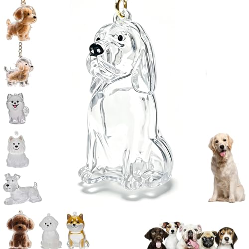 Dog Hair Collector Keychain Charm Memorial Storage Box,Pet Hairs Keychain,Pet Fur Keepsake Capsule Pendant - color: Golden