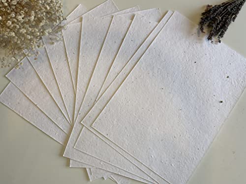 A4 & A5 Plantable Seed Paper/Card - Eco Friendly Print at Home Craft Paper with Wildflower Seed Mix (A4)