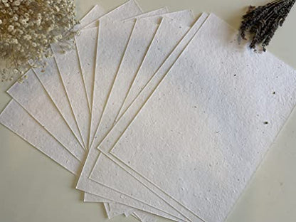 A4 & A5 Plantable Seed Paper/Card - Eco Friendly Print at Home Craft Paper with Wildflower Seed Mix (A4)