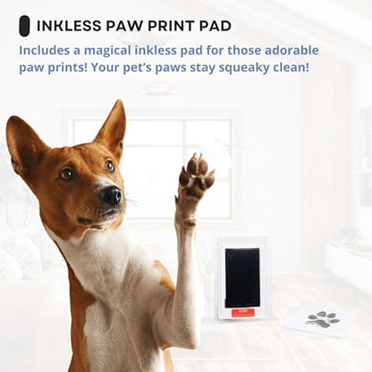 OtterPets Paw Print Kit for Dogs 9x9, 4 customizable displays (Natural) - color: Natural