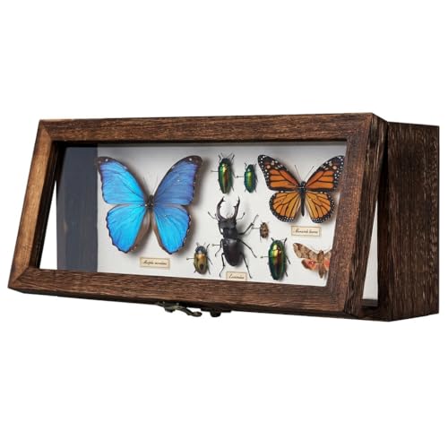 Shadow Box 5" x 12.5", Solid Wood Box Frame with Linen Background and 10 Solid Wood Pins, 2 Hanging Designs, Memory Display Case for Wedding Bouquet Memorabilia Medals Photos Keepsakes, Dried Flowers