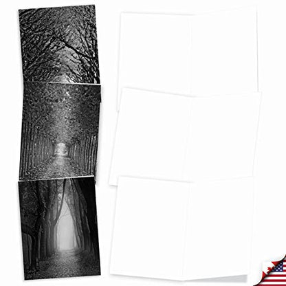The Best Card Company - 10 Blank Note Cards with Envelopes (4 x 5.12 Inch) - Black & White Photos, Bulk Boxed Set - Pathways AM6280OCB-B1x10 - style: Pathways
