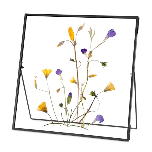 REDHUGO Double Glass Frame for Pressed Flowers, Square, Black, 10x10 Inches - color: Black, size: 10L" x 10W"