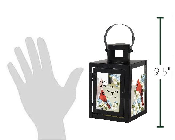 The Bridge Collection Memorial Lantern with Flameless Candle (Cardinals) | Painted Glass & Metal Bereavement Hanging Lantern for Sympathy Funeral Gift or to Remember Loved One - color: Cardinals Appear