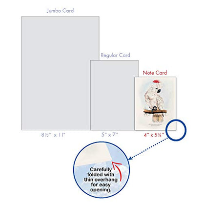 The Best Card Company - 10 Assorted Blank Notecards Bulk Box Set 4 x 5.12 Inch with Envelopes (10 Designs, 1 Each) - Birds of a Feather M6034 - style: Birds of a Feather