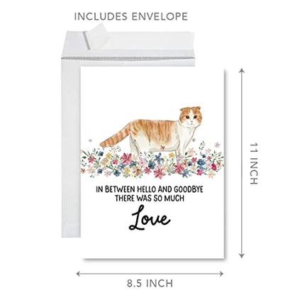 Andaz Press Jumbo Pet Sympathy Card with Envelope, Sorry For Your Loss, Scottish Fold Cat, Loss Of Pets, Cat Grief Bereavement Card with Big Blank Space to Send to Friends, Family, 8.5" x 11", 1-Pack - color: Scottish Fold Cat
