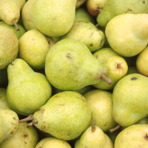 Capital City Fruit Signature Fresh Fruit Gift Basket with Apples, Pears, Crackers, Honey and Nuts (With Sympathy)
