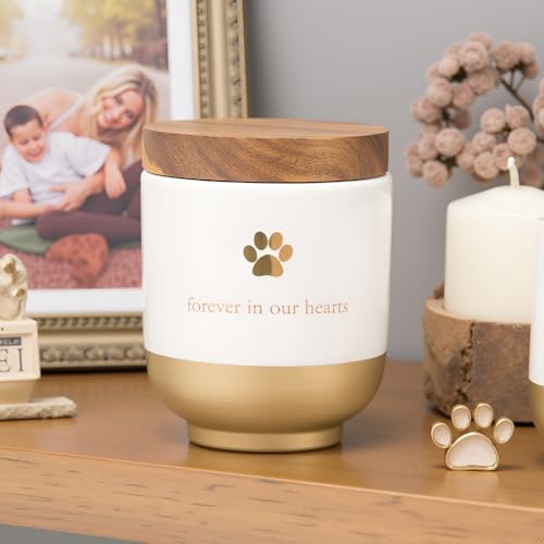 Pearhead Pet Ceramic Forever in Our Hearts Urn, Pet Memorial, Gold - style: My Heart Urn, Gold