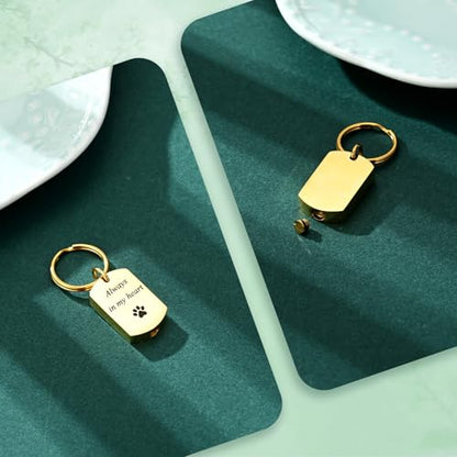 Pet Paw Cremation Jewelry Urn Keychain for Ashes for Women Men Memorial Keepsake Keychain - color: Gold