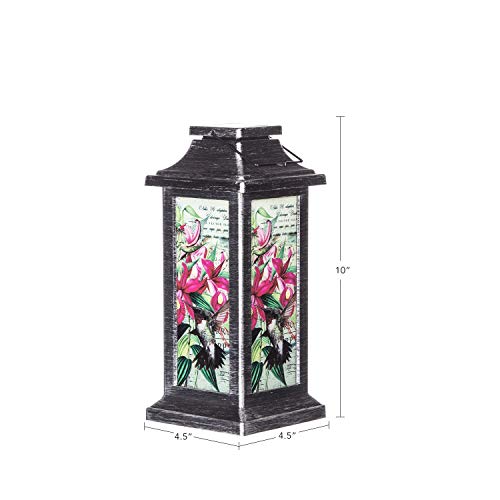 Topadorn Hummingbird Solar Lantern Outdoor Hanging Light - style: Hummingbird