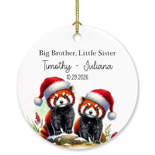 Personalized Big Brother & Little Sister Ornament Christmas 2026, Cute Red Panda Big Brothers Xmas Tree Decorations Ornament Gifts for New Brother Newborn, Cute Red Panda Sibling Christmas Keepsakes - color: Big Brother & Little Sister #2 Ornament