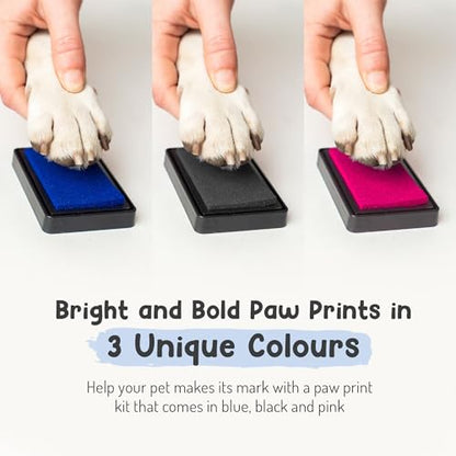 Pet Paw Print Impression Kit | Dog Ink Paw Print Kit | Pet Paw Print Kit | an Easy to Use Paw Print Stamp Pad for Dogs | Contains an Ink Pad for Dog Paw Prints That You Can Treasure (Big Black) - color: Big Black