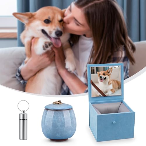Mini Pet Urn, Small Pet Memorial Urn Handmade Ceramic Pet Urn Suitable for Home or Office Urn with Delicate Box - Blue (Blue)