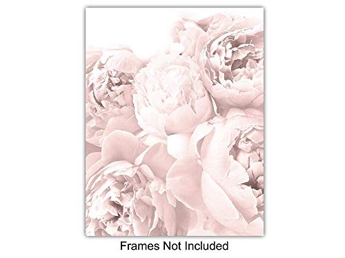 Memorial Gift for Loved Ones - Encouragement Remembrance Gift for Dog, Cat, Pet Owner - Remember Me Wall Art, Sentimental Room Decor, Home Decoration - 8x10 Floral Poster Photo Set UNFRAMED