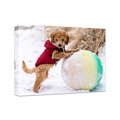 Personalized Photo to Canvas Print - Canvas Prints With Your Photos on Custom Wall Art for Bedroom, Living Room, Wedding Baby Pet Family Picture Framed Wall Art (20" W x 16" H) - size: 16"L x 20"W
