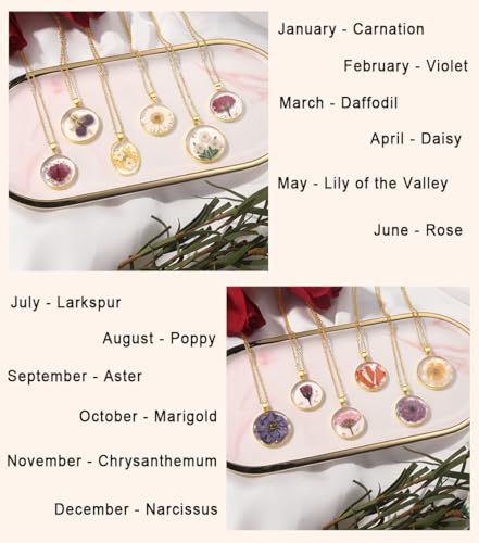 AUNTESIGN Forget-Me-Not and Queen Anne's Lace Pressed Wildflower Necklace | Birth Month Flowers Necklace | Gold/Silver Pressed Flower Jewelry | Mother's Day | Gift For Her - color: Pansy Necklace(February Birth Flower)