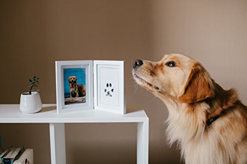 Pearhead Pet Pawprints Desk Picture Frame, Pet Memorial Keepsake, White Photo Frame For Pet, Imprint Kit - color: Pawprints White Tabletop Picture Frame