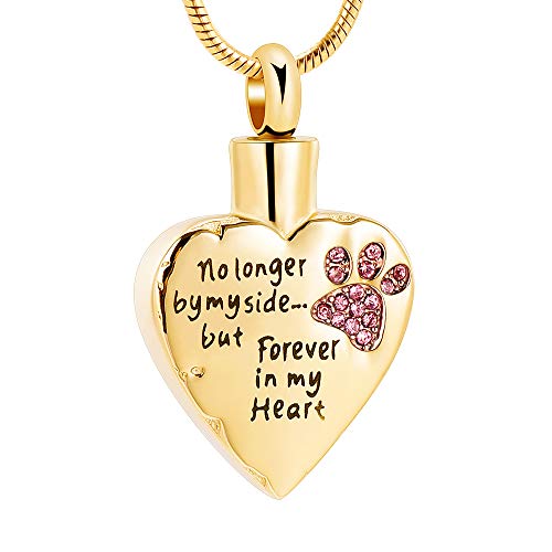 memorial jewelry No Longer by My Side,But Forever in My Heart Carved Locket Cremation Urn Necklace for Pet Dog Cats - color: Gold-Pink