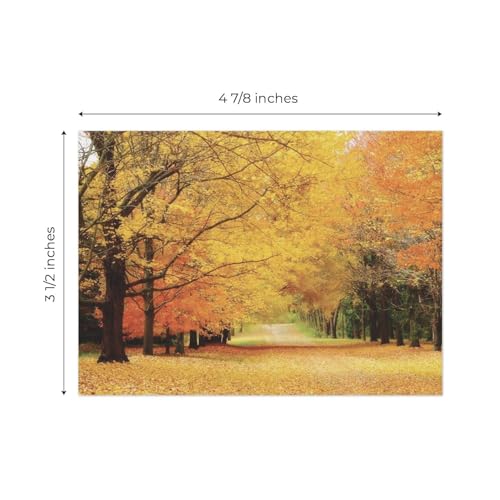 Canopy Street Breathtaking Landscape Note Card Pack / 36 Nature All Occasion Greeting Cards With White Envelopes Set / 6 Colorful Outdoor Scenery Designs / 3 1/2" x 4 7/8" All Occasion Sympathy Cards - color: Breathtaking Landscape