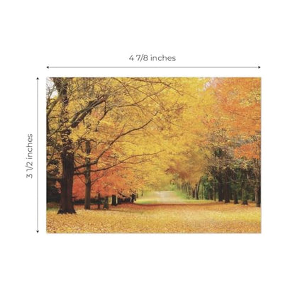 Canopy Street Breathtaking Landscape Note Card Pack / 36 Nature All Occasion Greeting Cards With White Envelopes Set / 6 Colorful Outdoor Scenery Designs / 3 1/2" x 4 7/8" All Occasion Sympathy Cards - color: Breathtaking Landscape