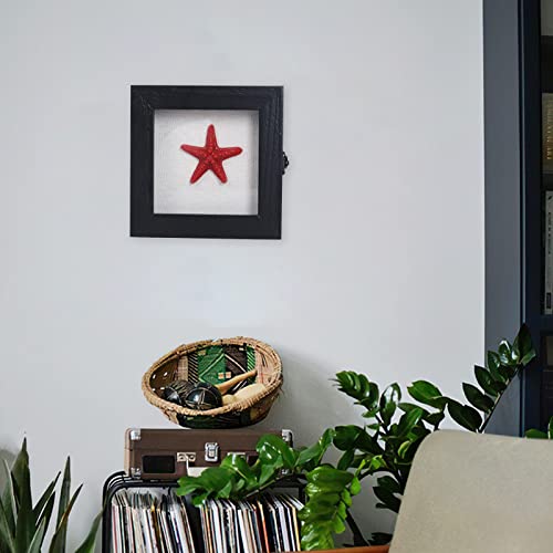 6x6 Small Shadow Box Frame with Glass, Hinged Door, Solid Wood, Black