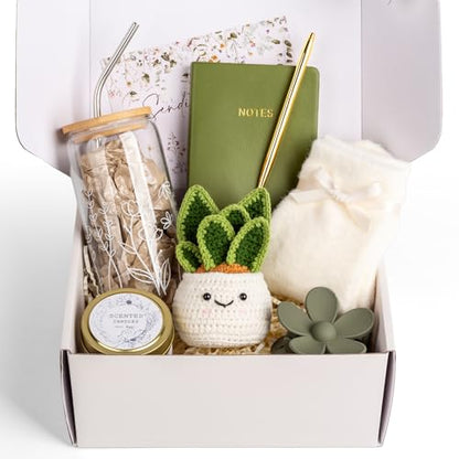 Get Well Care Package for Women - Feel Better Soon Basket, Sympathy and Thinking of You Gifts After Surgery Recovery - color: Green Snake Plant