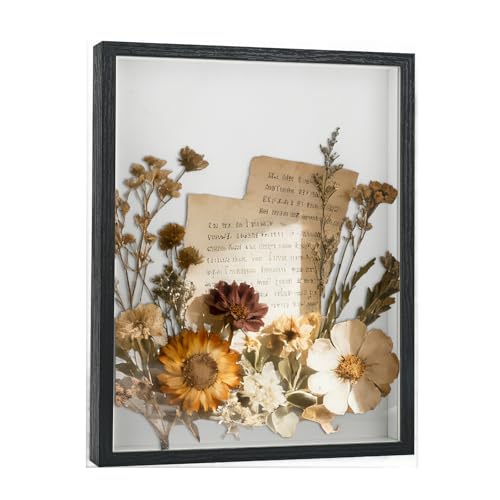 11x14 Shadow Box Frame, Memory Display Case for Keepsakes, Photos | Durable Engineered Wood Shadow Box, 1.2" Deep, For Flowers, Photos, Tickets & Medals. Wall-Mountable Or Stands On Table/Shelf - color: Black, size: 11×14