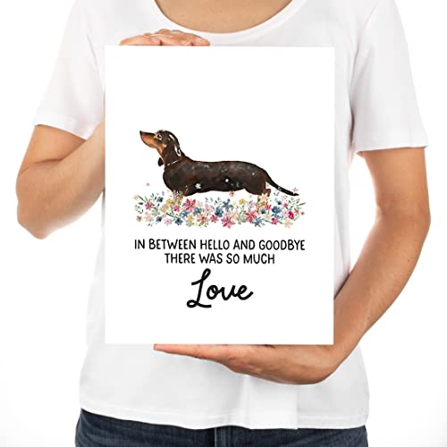 Andaz Press Jumbo Pet Sympathy Card with Envelope, Sorry For Your Loss Card, Dachshund, Loss Of Pets, Dog Grief Bereavement Card with Big Blank Space to Send to Friends, Family, 8.5" x 11", 1-Pack - color: Dachshund