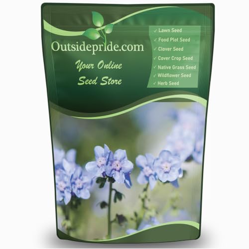 Outsidepride Cynoglossum Blue Chinese Forget Me Not Seeds - 5 Lbs. Self-Sowing Annual Flower Seeds for Planting Dense Blue Blooms & Upright Growth Habit for Borders, Pollinator & Cottage Gardens - size: 5 lb.