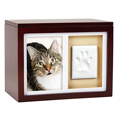 Pearhead Pet Memory Box & Urn - Solid Wood, Espresso Finish, Collars - color: Espresso