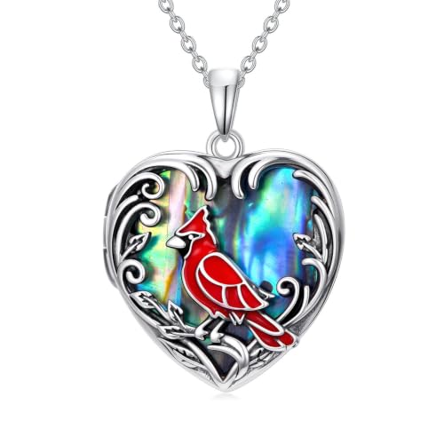 JKR Heart Picture Locket Necklace for Women That Holds Pictures Jewelry | Memorial Necklace with Picture Anniversary Birthday Gift for Women Wife Mom Girlfriend - color: Cardinal