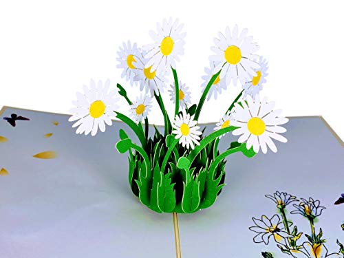 iGifts And Cards White Daisy Bouquet 3D Pop-Up Card in Full Bloom 4.75x6.75 | Spring Floral Keepsake, Mother's Day, Get Well, Sympathy, Birthday For Her, Garden Lover, Wife, Friend, Bouquet Design - color: White Daisies