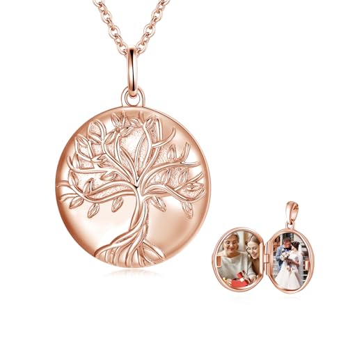 TUGHRA Mother's Day Gifts Gold Locket Necklaces for Women, 925 Sterling Silver Heart Photo Lockets Memorial Keepsake Jewelry Gift for Mom, Wife, Daughter - style: 0372-Rose Gold