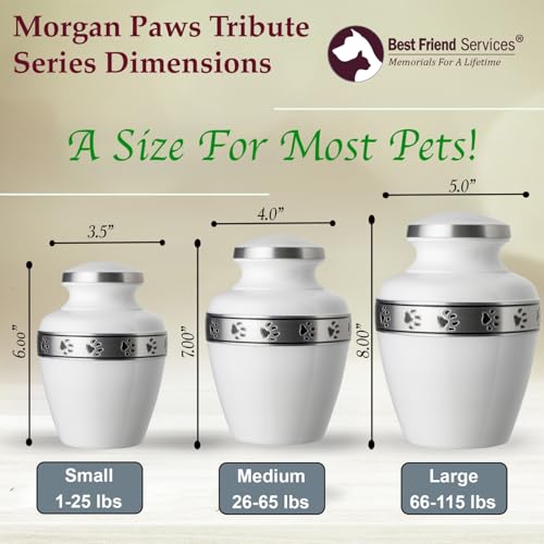 Morgan Legacy Cloud White/Pewter Pet Urn, up to 115lbs - color: Cloud White, Pewter Band, size: Large