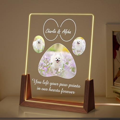Personalized Dog Memorial Gifts, Custom Acrylic Light Up Picture Frame | Custom Pet Loss Gifts Cat Pet Memorial Gifts with Pictures for Pet Lover, Loss of Dog Sympathy Gifts - color: style-5